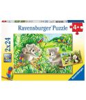 Ravensburger Kinderpuzzle 2x24tlg. Süße Koalas und Pandas