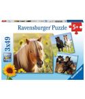 Ravensburger Kinderpuzzle 3x49tlg. Liebe Pferde