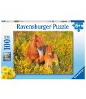 Ravensburger Kinderpuzzle 100tlg. XXL Shetlandponys