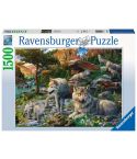Ravensburger Puzzle 1500tlg. Wolfsrudel im Frühlingserwachen