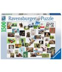 Ravensburger Puzzle 1500tlg. Funny Animals Collage 16711