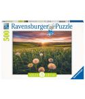 Ravensburger Puzzle 500tlg. Pusteblumen im Sonnenuntergang