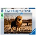 Ravensburger Puzzle 1500tlg. Der Löwe - Der König der Tiere 