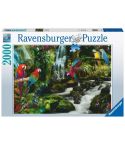 Ravensburger Puzzle 2000tlg. Bunte Papageien im Dschungel