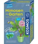 Kosmos Mitbring-Experimente Mimosen Garten