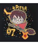 Diamond Dotz Harry Potter Box 28x28cm