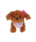 Chi Chi Love Cup Poodle Puppy