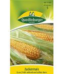 Quedlinburger Samen Mais Zucker - Elan 447180