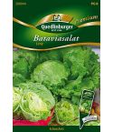 Quedlinburger Samen Salat Batavia 290044 