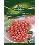Quedlinburger Samen Tomaten Johannesbeer rot 290424
