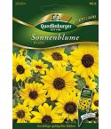 Quedlinburger Samen Sonnenblumen Piccolo 292054
