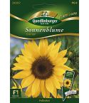 Quedlinburger Samen Sonnenblumen Eversun 292057