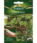 Quedlinburger Samen Salat Pflück-Babyleaf 292897