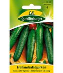 Quedlinburger Samen Gurken Freilandsalat - Konsa 413822