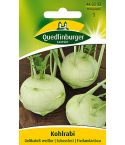 Quedlinburger Samen Kohlrabi Delikateß weiß 443232