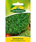 Quedlinburger Samen Gartenkresse Krause 445442  