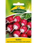 Quedlinburger Samen Radies - Rundes halbrot/halbweiß 459959