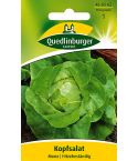 Quedlinburger Samen Salat Kopf - Mona 468362