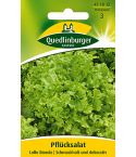 Quedlinburger Samen Salat Pflück - Lollo bionda 471812