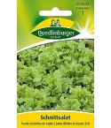 Quedlinburger Samen Salat Schnitt - verde ricciolina 472633