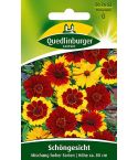 Quedlinburger Samen Schöngesicht Mischung - hohe Sorten
