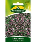 Quedlinburger Samen Schleierkraut Rose 512802