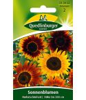 Quedlinburger Samen Sonnenblumen Herbstschönheit 513032   