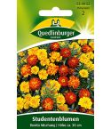 Quedlinburger Samen Studentenblumen Bonita Mischung 524052