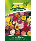 Quedlinburger Samen Sommerblumen Halbhohe 530052