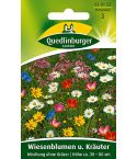 Quedlinburger Samen Wiesenblumen und Kräutermischung 530122 